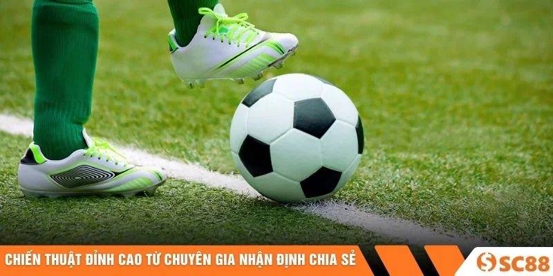 Chiến thuật đỉnh cao từ chuyên gia nhận định chia sẻ Chiến thuật đỉnh cao từ chuyên gia nhận định chia sẻ