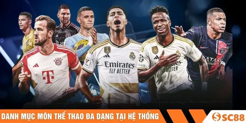 Danh mục môn thể thao đa dạng tại hệ thống Danh mục môn thể thao đa dạng tại hệ thống
