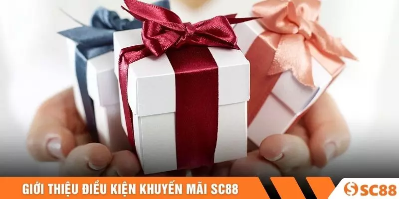 Giới thiệu điều kiện khuyến mãi SC88 Giới thiệu điều kiện khuyến mãi SC88