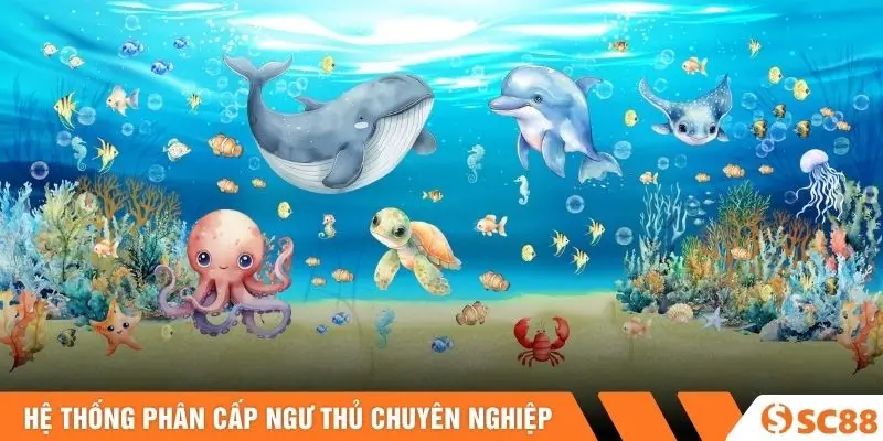 Hệ thống phân cấp ngư thủ chuyên nghiệp Hệ thống phân cấp ngư thủ chuyên nghiệp