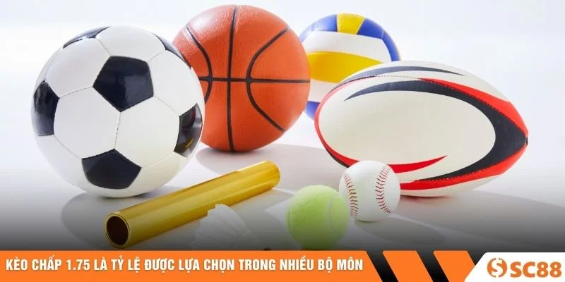 Kèo chấp 1.75 là tỷ lệ được lựa chọn trong nhiều bộ môn Kèo chấp 1.75 là tỷ lệ được lựa chọn trong nhiều bộ môn