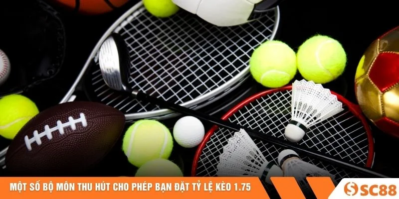 Một số bộ môn thu hút cho phép bạn đặt tỷ lệ kèo 1.75 Một số bộ môn thu hút cho phép bạn đặt tỷ lệ kèo 1.75