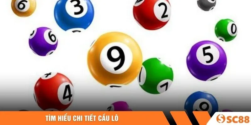 Tìm hiểu chi tiết cầu lô Tìm hiểu chi tiết cầu lô