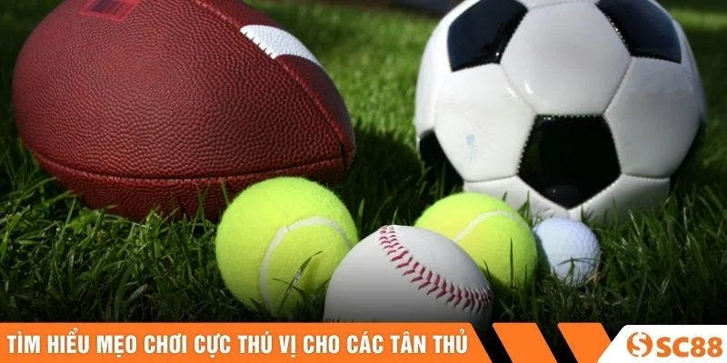 Tìm hiểu mẹo chơi cực thú vị cho các tân thủ Tìm hiểu mẹo chơi cực thú vị cho các tân thủ