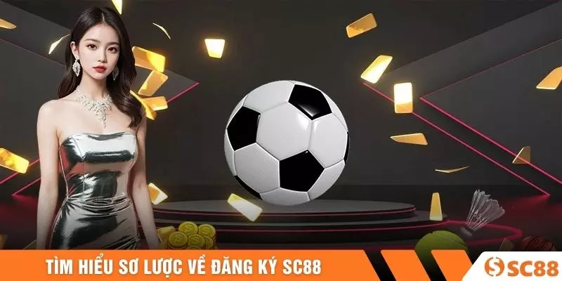 Tìm hiểu sơ lược về đăng ký SC88 Tìm hiểu sơ lược về đăng ký SC88