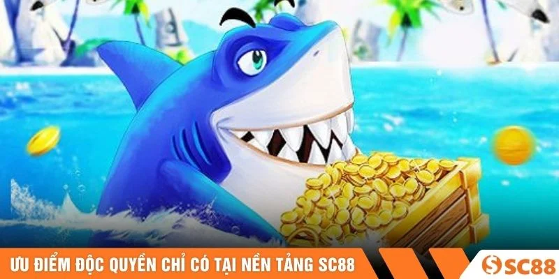 Ưu điểm độc quyền chỉ có tại nền tảng SC88 Ưu điểm độc quyền chỉ có tại nền tảng SC88